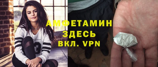 гидра Рославль