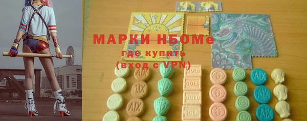 гидра Рославль