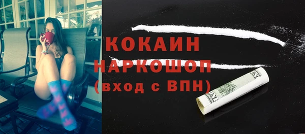 гидра Рославль