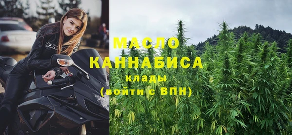 гидра Рославль