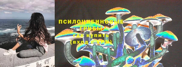 гидра Рославль