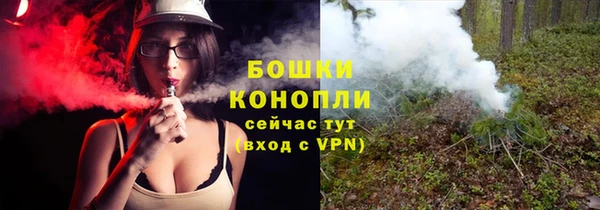 гидра Рославль