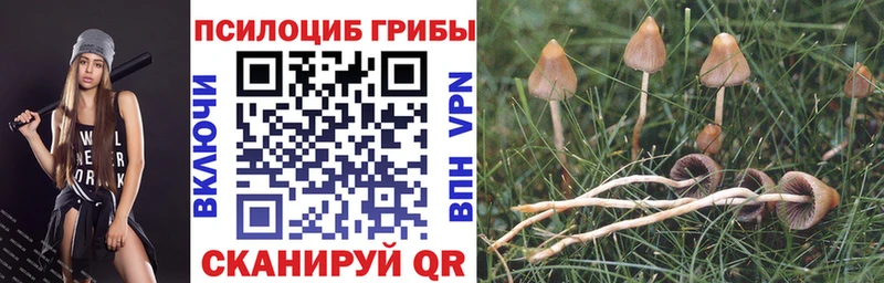 Галлюциногенные грибы мухоморы  Сурск 